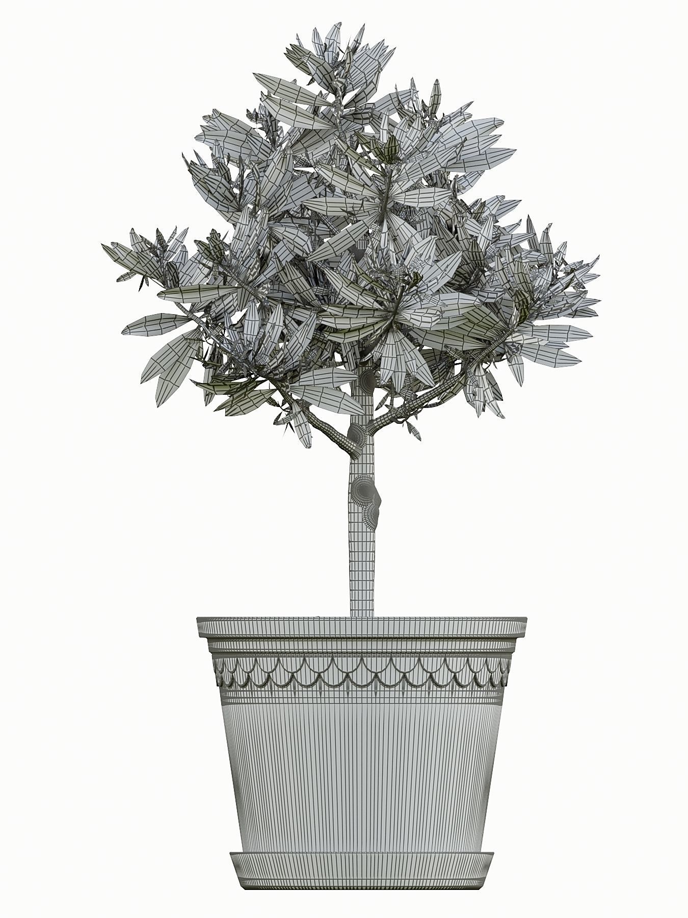 AVE Kitchen 3D model_3