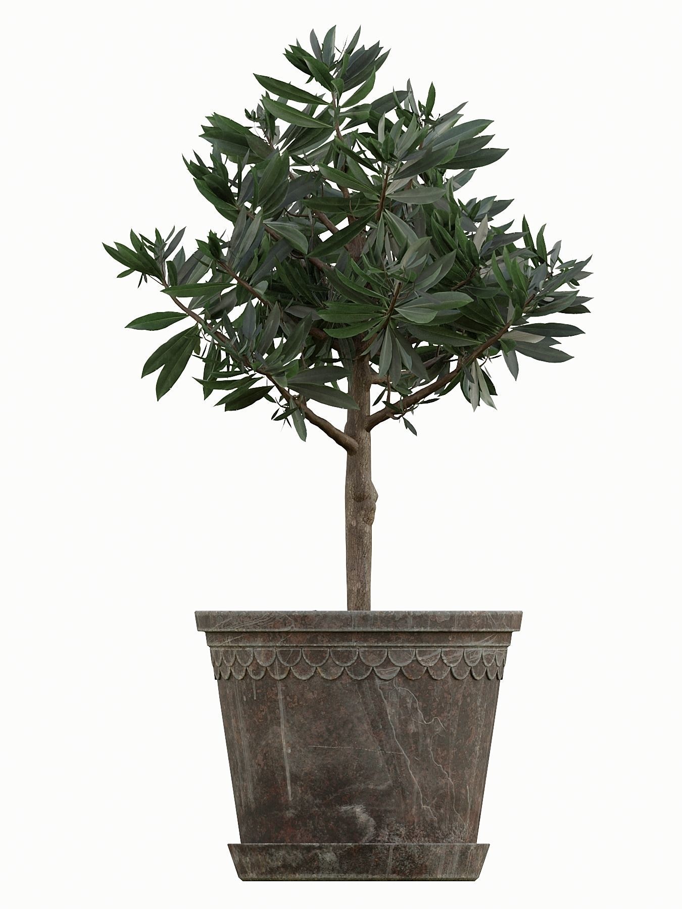 AVE Kitchen 3D model_2