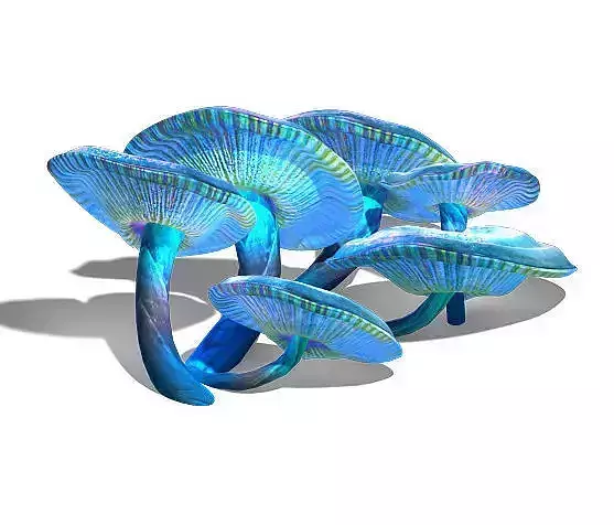 Ice and snow - strange mushroom