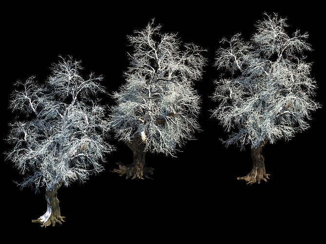 Ice and snow - rime 3D model