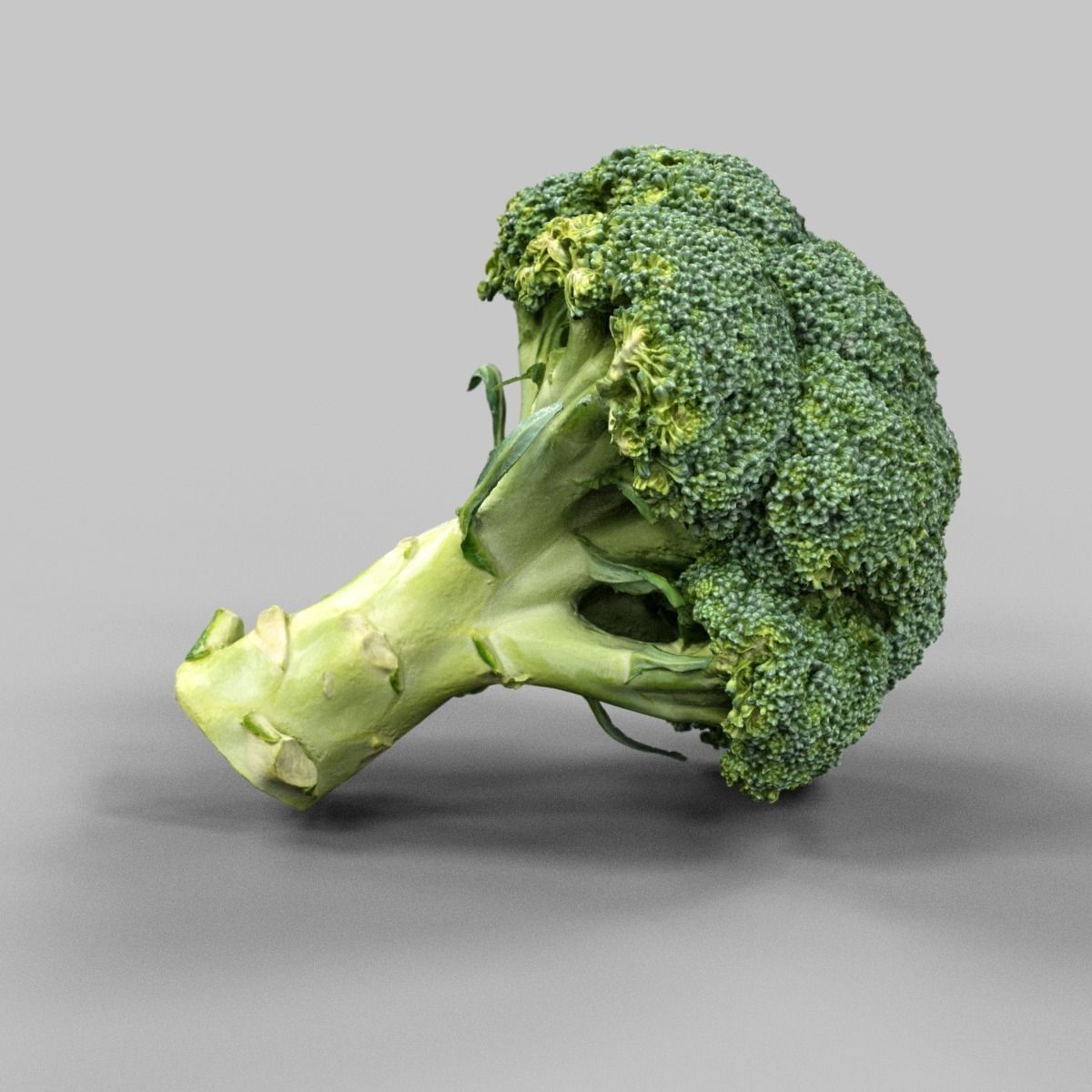 Broccoli