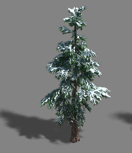 Ice and Snow - Cedar 01 3D model