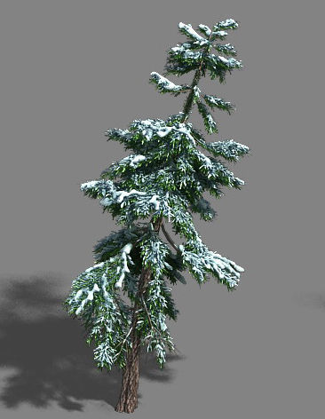 Ice and Snow - Cedar 02 3D model_1