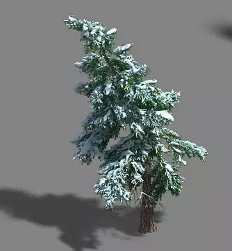 Ice and Snow - Cedar 02 3D model_0