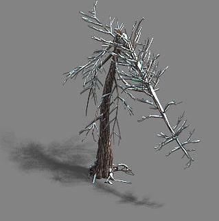 Ice and Snow - Cedar 03 3D model