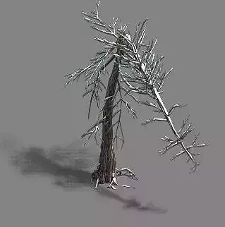 Ice and Snow - Cedar 03 3D model