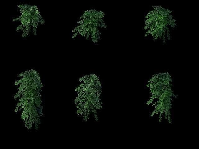 Game Model - Grass 03 3D model
