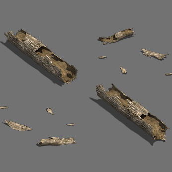 Fell to the ground decay tree 02 3D model_2