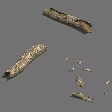 Fell to the ground decay tree 02 3D model_0