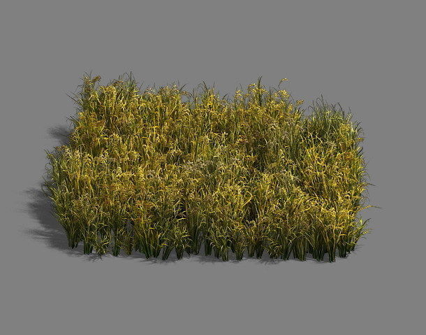 Paddy field - scarecrow 3D model_3