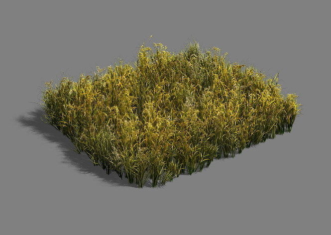 Paddy field - scarecrow 3D model_2