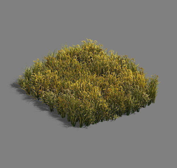 Paddy field - scarecrow 3D model_1