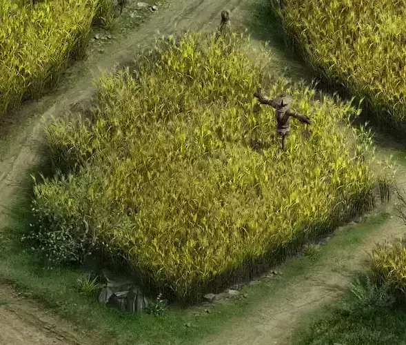 Paddy field - scarecrow