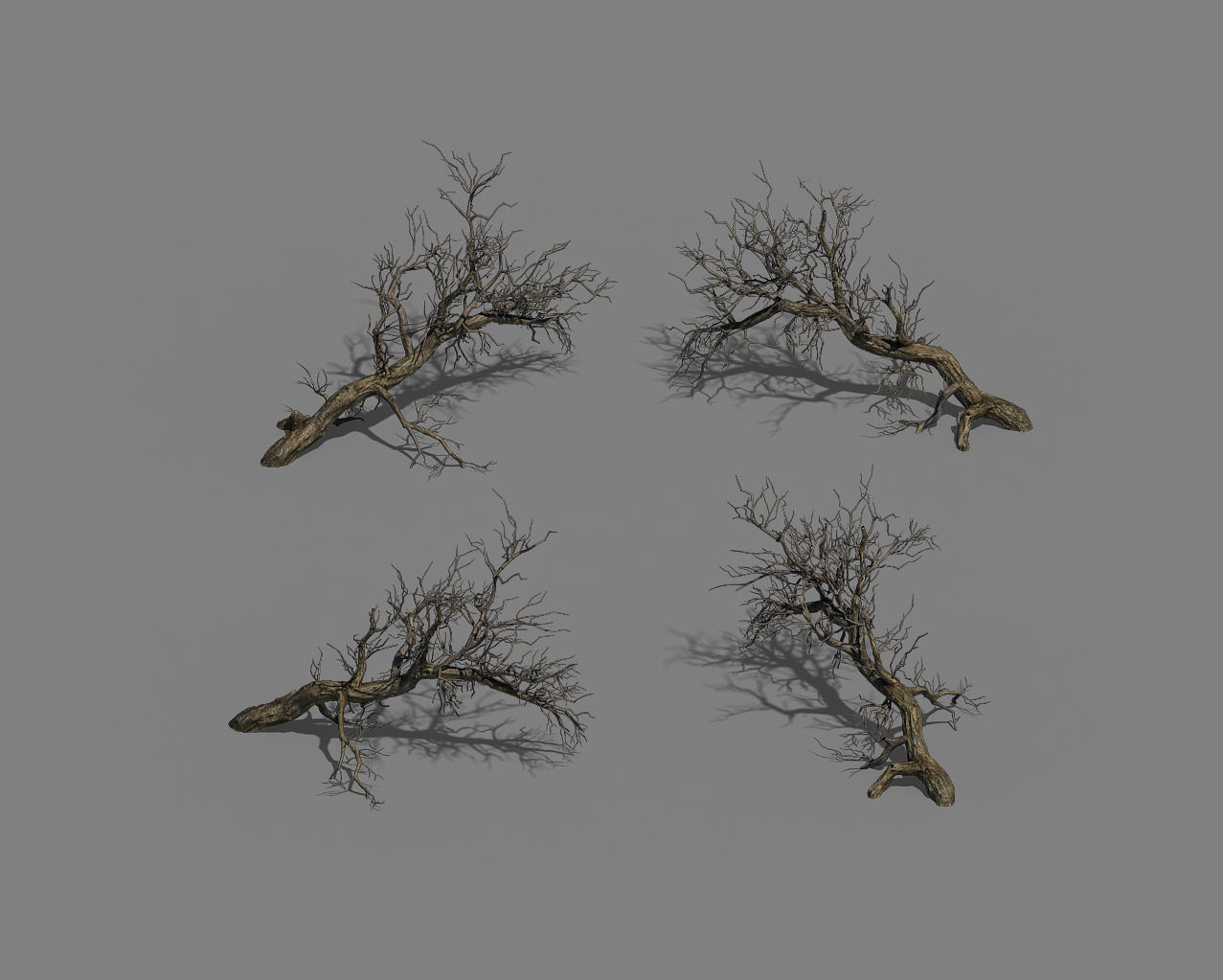 Winter snow - dead tree 02 3D model_6