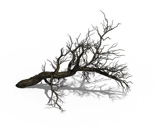 Winter snow - dead tree 02 3D model_2
