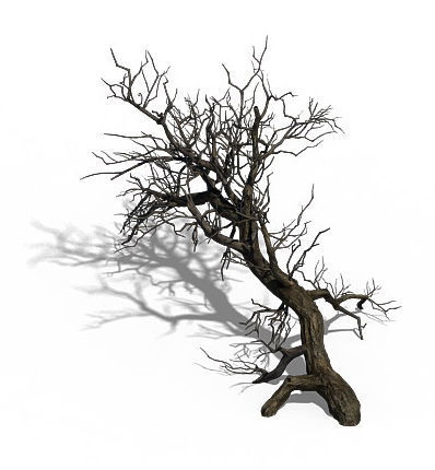 Winter snow - dead tree 02 3D model_1
