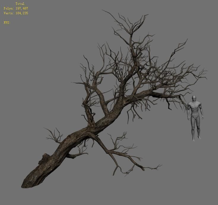 Winter snow - dead tree 02 3D model_4