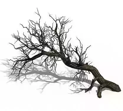 Winter snow - dead tree 02