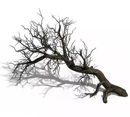 Winter snow - dead tree 02 3D model_0