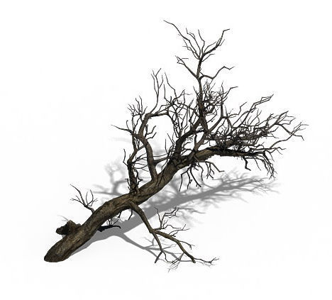 Winter snow - dead tree 02 3D model_3