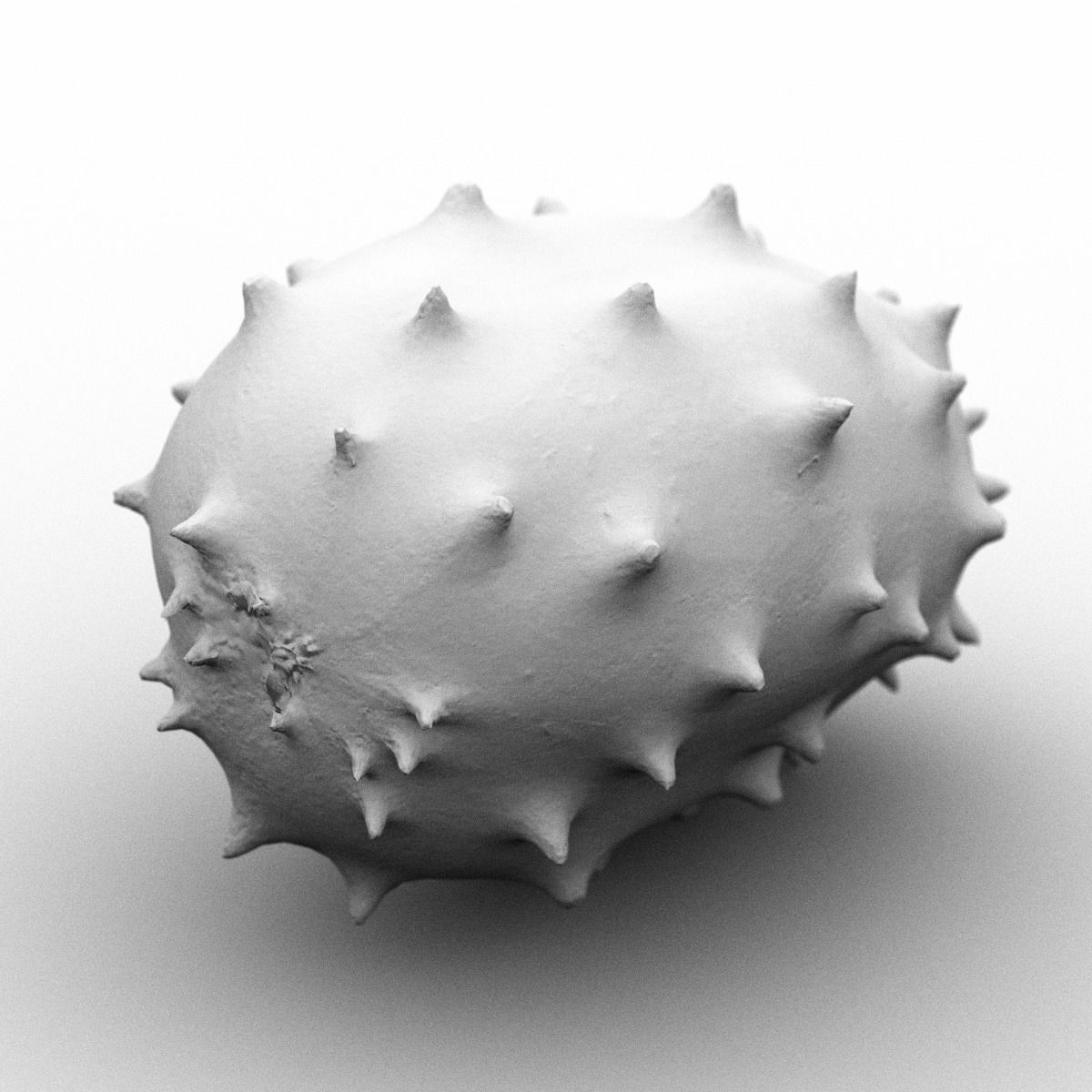 Kiwano cactus fruit Low-poly 3D model_1