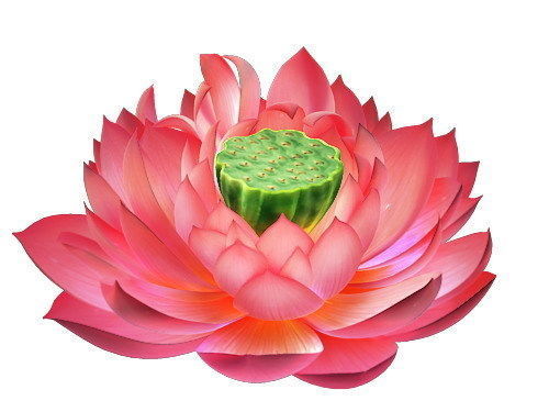 Game Model - Lotus 3D model_1