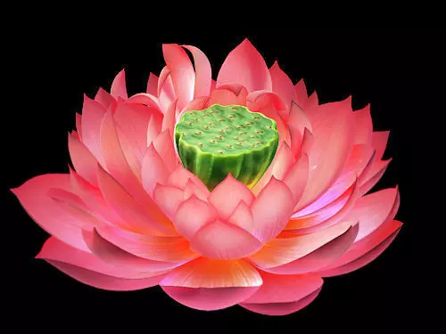 Game Model - Lotus 3D model_0