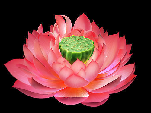 Game Model - Lotus 3D model