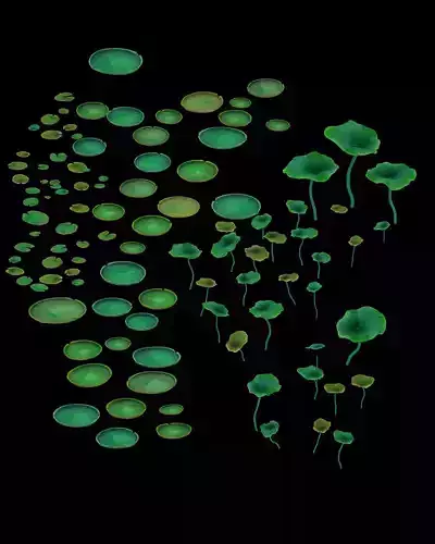 Game model - lotus road 3D model