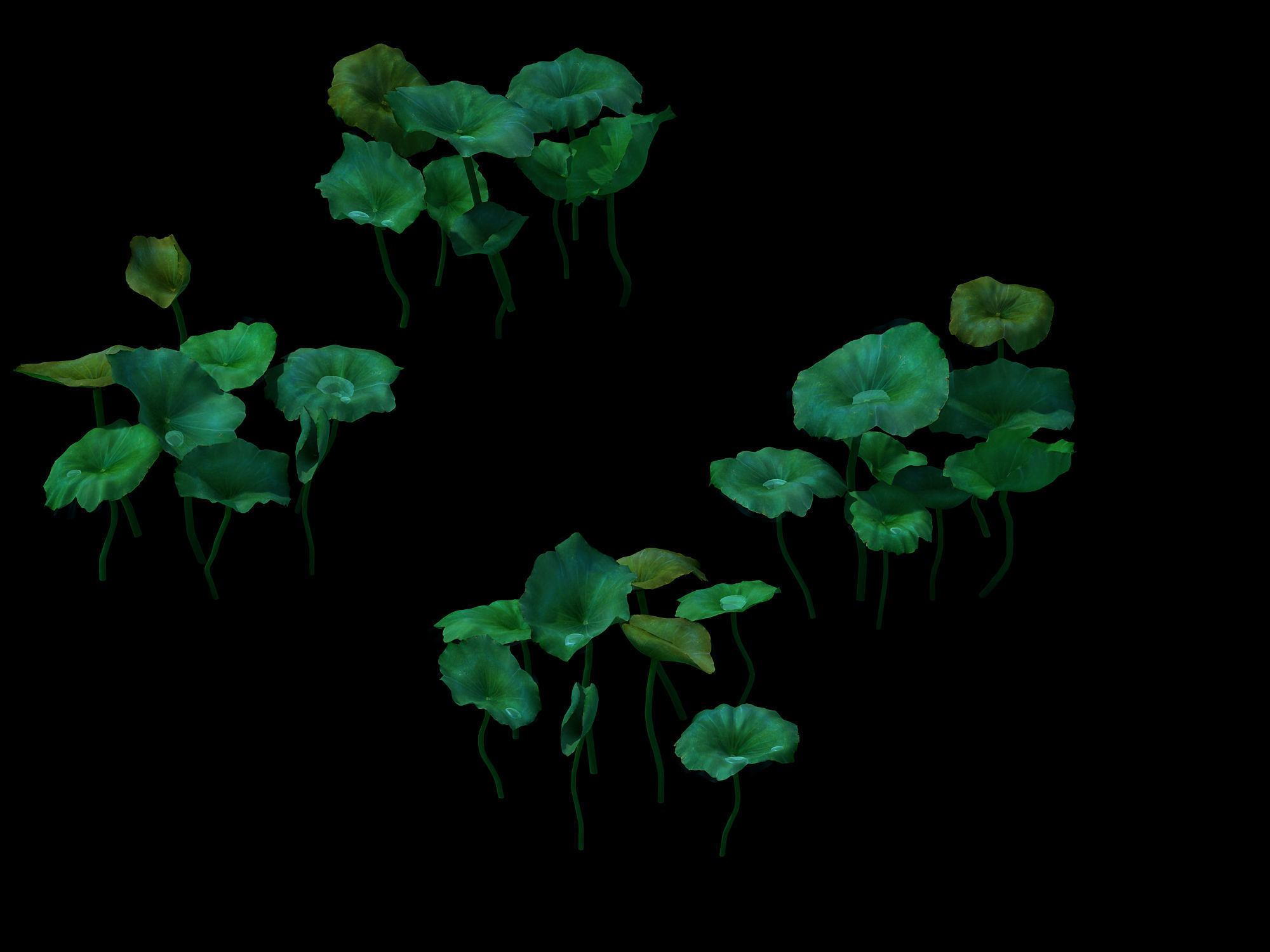 Game model - lotus road 3D model_4