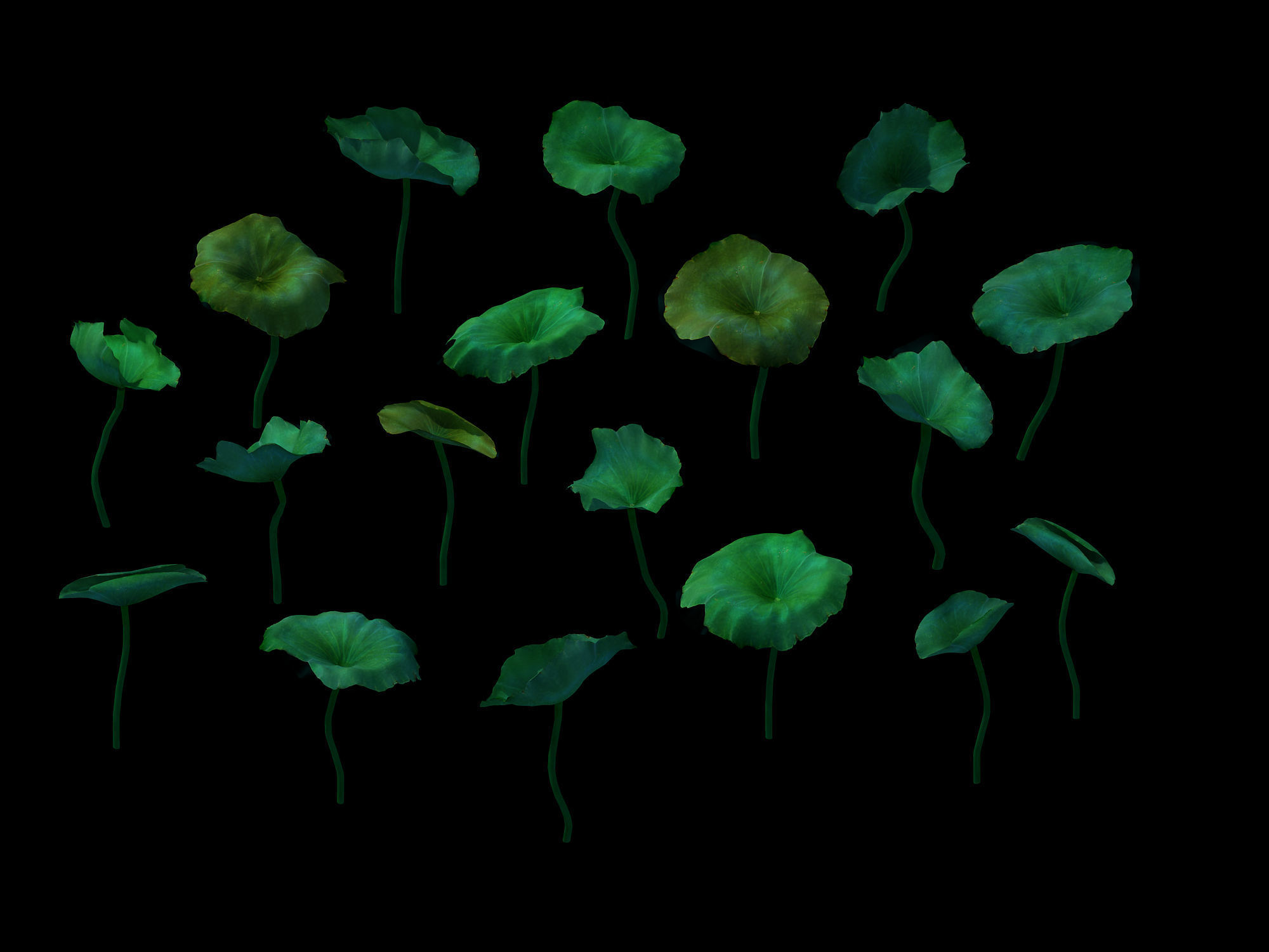 Game model - lotus road 3D model_2