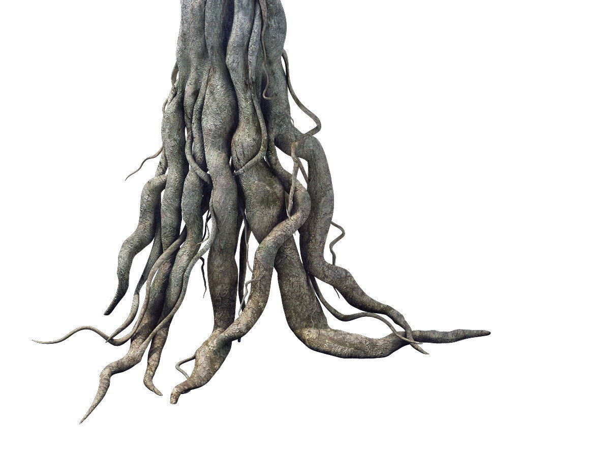 Game Model - Kashayana Buddha Forest Big Tree Root 3D model_1