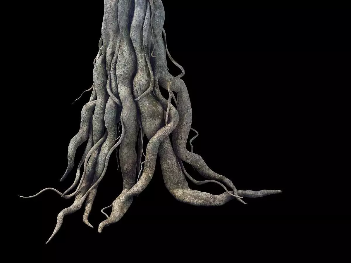 Game Model - Kashayana Buddha Forest Big Tree Root 3D model_0