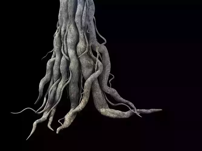 Game Model - Kashayana Buddha Forest Big Tree Root 3D model