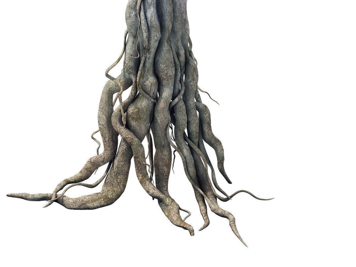 Game Model - Kashayana Buddha Forest Big Tree Root 3D model_2