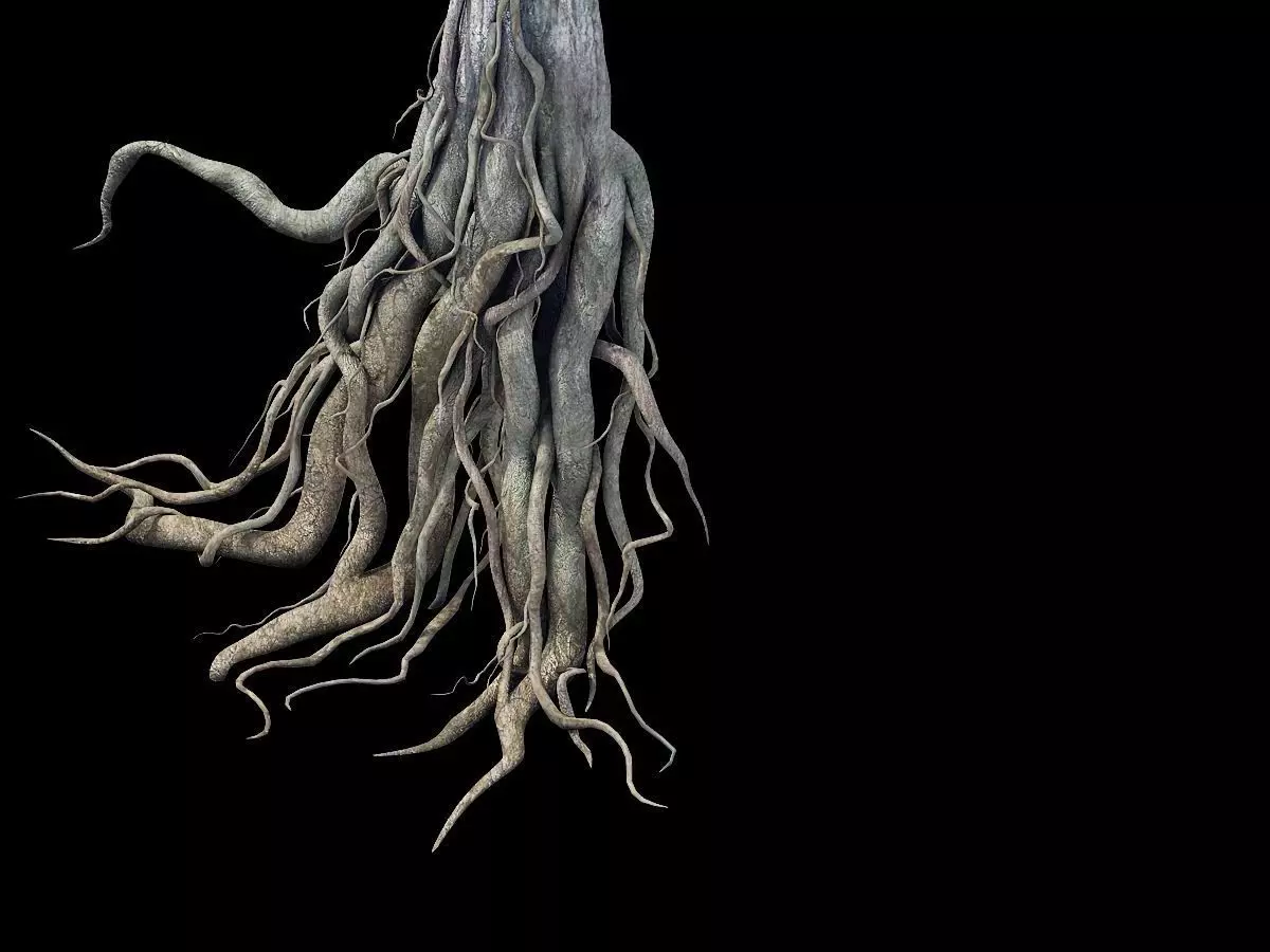 Game Model - Kaya Buddha Forest root 3D model_0