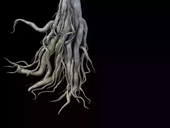 Game Model - Kaya Buddha Forest root 3D model