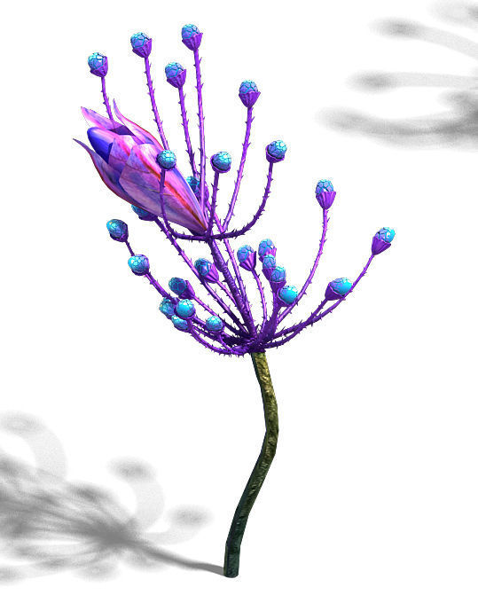 Wizard of the forest - supernatural flowers 02 3D model_3