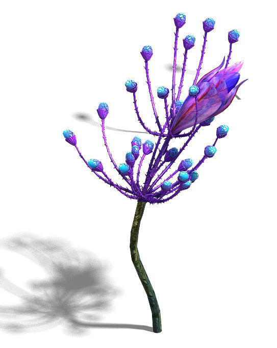 Wizard of the forest - supernatural flowers 02 3D model_1