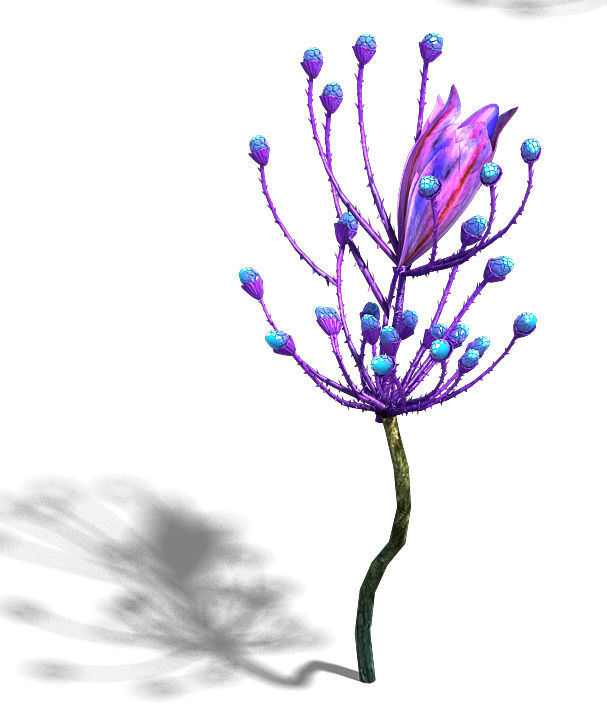 Wizard of the forest - supernatural flowers 02 3D model_2
