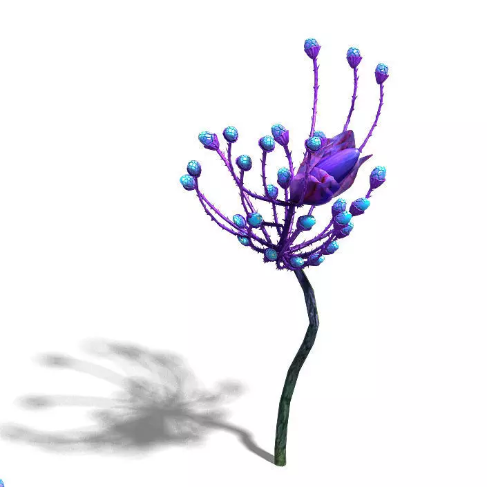 Wizard of the forest - supernatural flowers 02 3D model_0