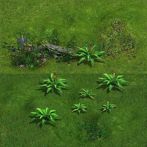 Ferns 01 3D model
