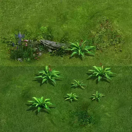 Ferns 01 3D model