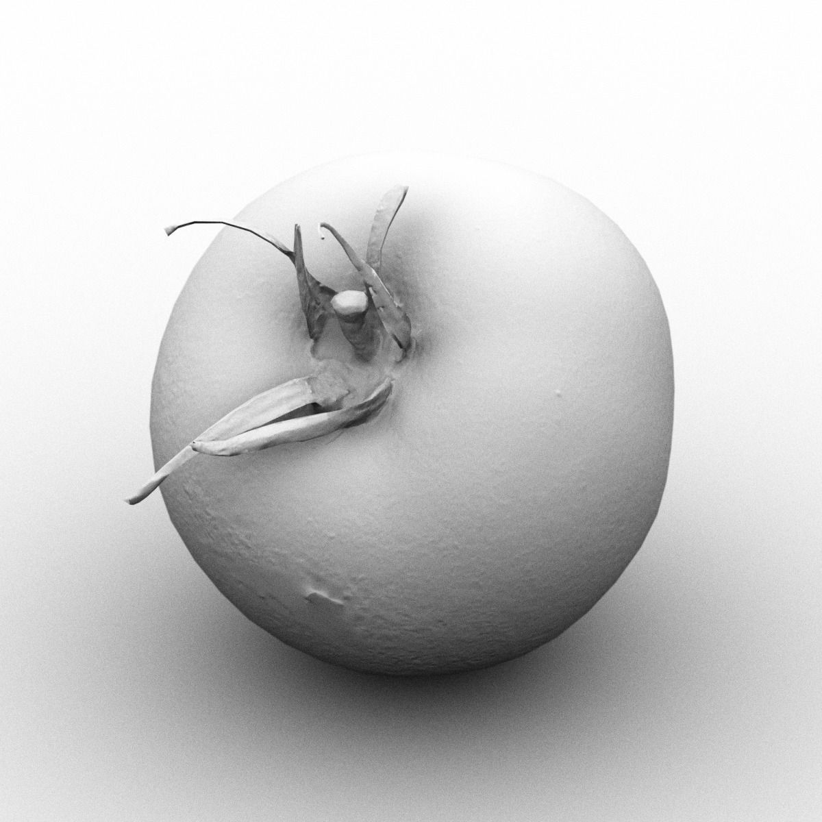 Tomato Low-poly 3D model_2