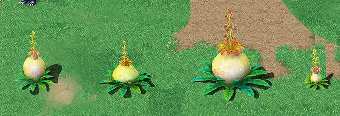 Cartoon version - flower belly flower 3D model