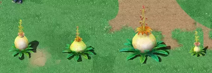 Cartoon version - flower belly flower 3D model