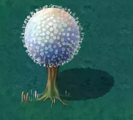 Cartoon version - pompon Spores 3D model