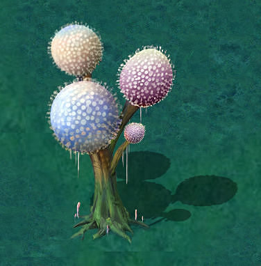 Cartoon version - pompon Spores 02 3D model