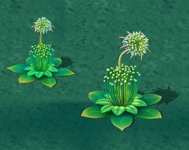 Cartoon Edition - Fairy Dandelion 3D model_0