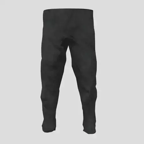 Pants pair of Low-poly 3D model